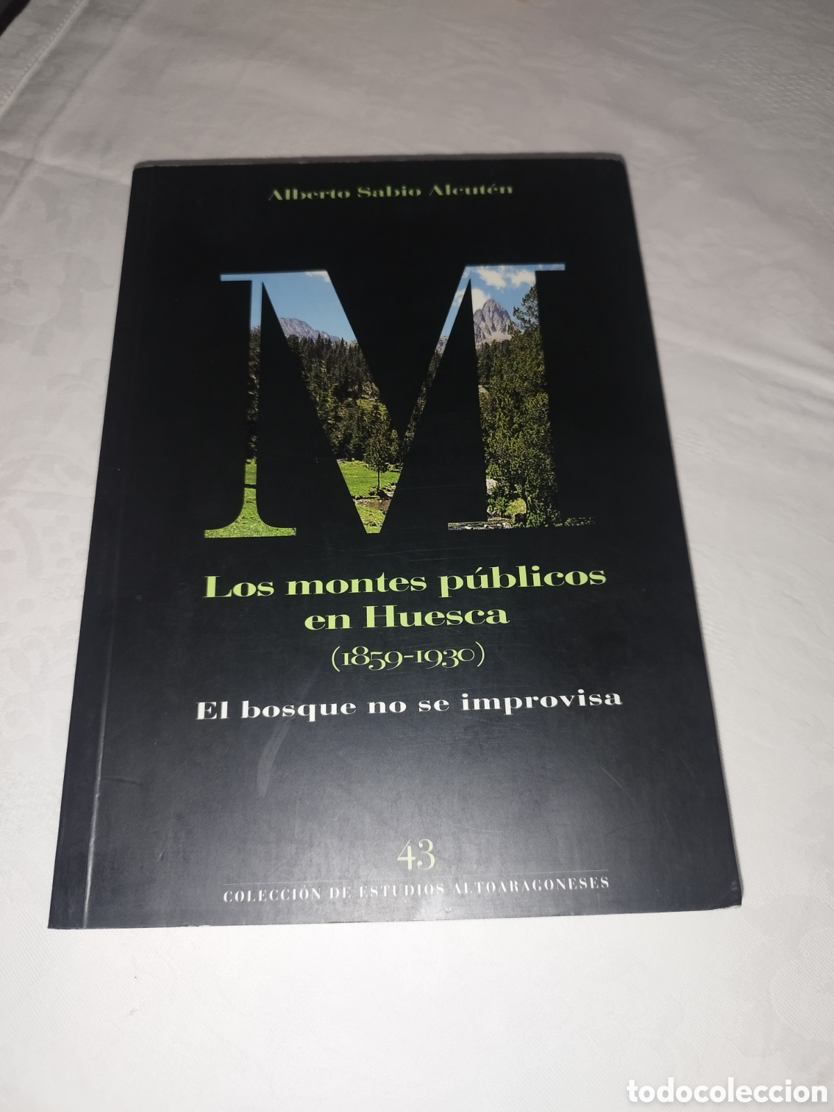 Libros de segunda mano: LOS MONTES PUBLICOS EN HUESCA (1859-1930).-A. SABIO ALEUTEN. ED. I. E. ALTOARAGONESES, 1997 1&ordf;ED.