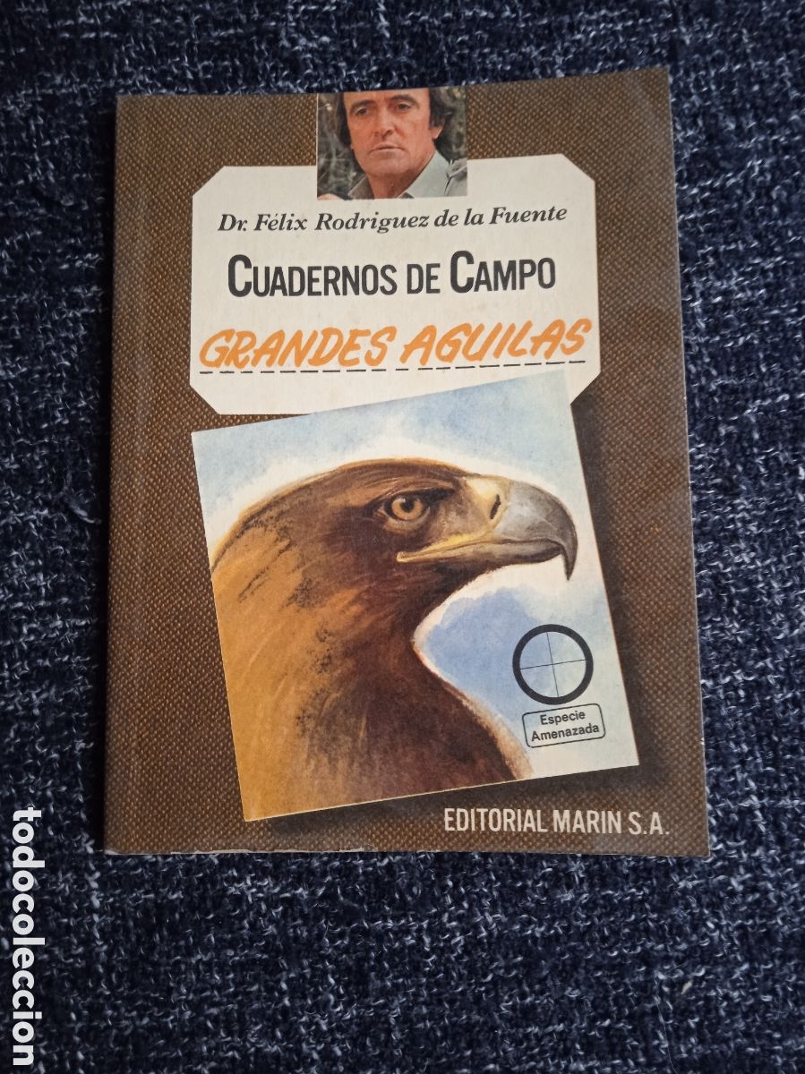 Libros de segunda mano: CUADERNOS DE CAMPO N&ordm; 2 GRANDES &Aacute;GUILAS / F&Eacute;LIX RODR&Iacute;GUEZ DE LA FUENTE.