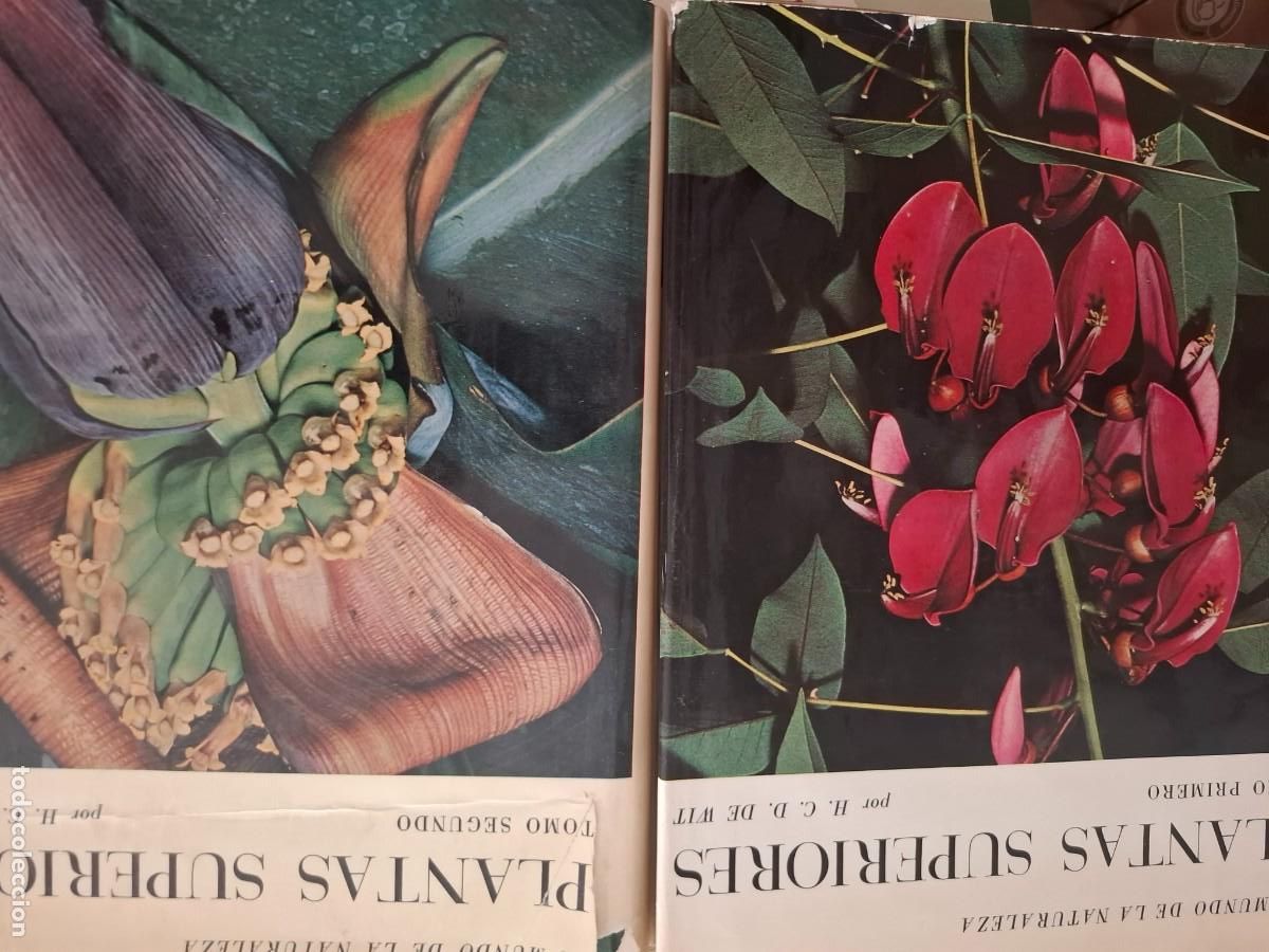 Libros de segunda mano: plantas superiores tomos 1 y 2 H C D de Wit