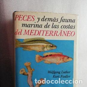 Libros de segunda mano: PECES Y DEMAS FAUNA MARINA DE LAS COSTAS DEL MEDITERRANEO