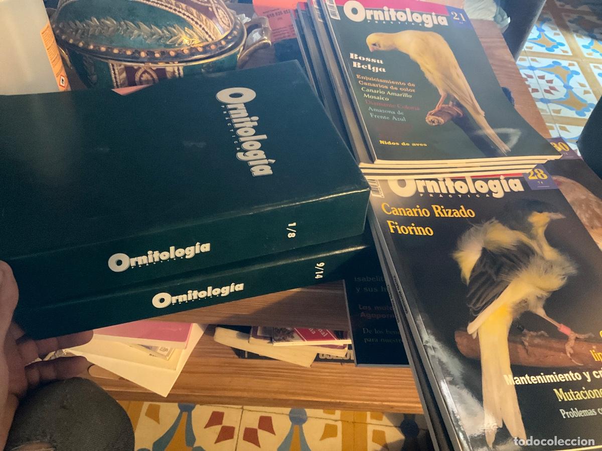 Libros de segunda mano: Lote Revistas Ornitolog&iacute;a Pr&aacute;ctica Del 1 al 30 falta el 26 con dos estuches