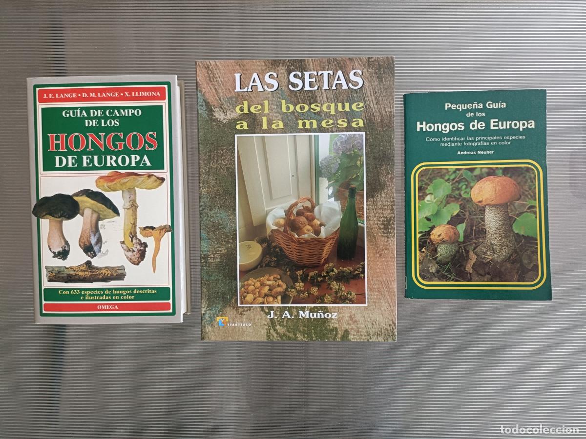 Libros de segunda mano: Lote 3 Libros De Setas. Hongos De Europa. Gu&iacute;a De Campo