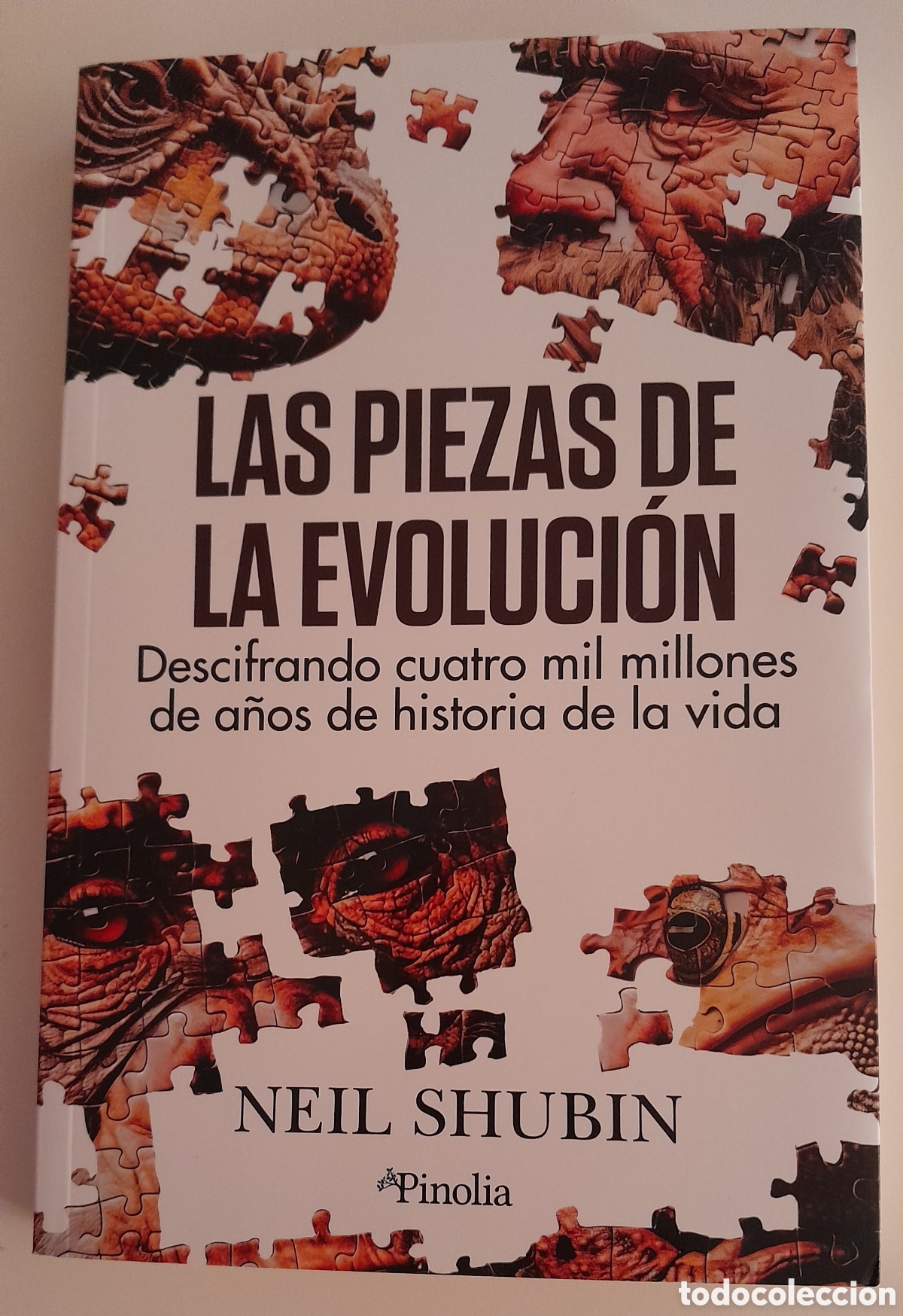 Libros de segunda mano: Las piezas de la evoluci&oacute;n. Neil Shkbin. Pinolia