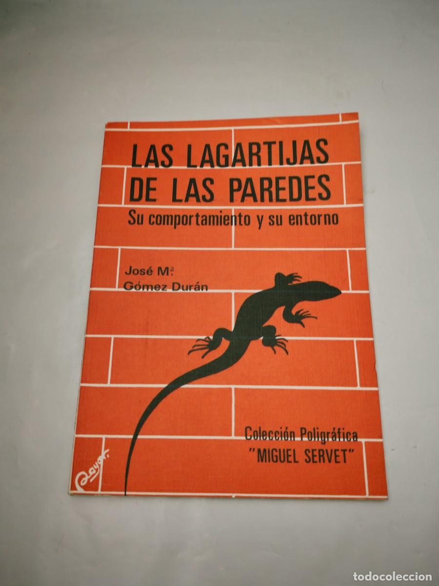 Libri di seconda mano: LAS LAGARTIJAS DE LAS PAREDES. Su comportamiento y su entorno