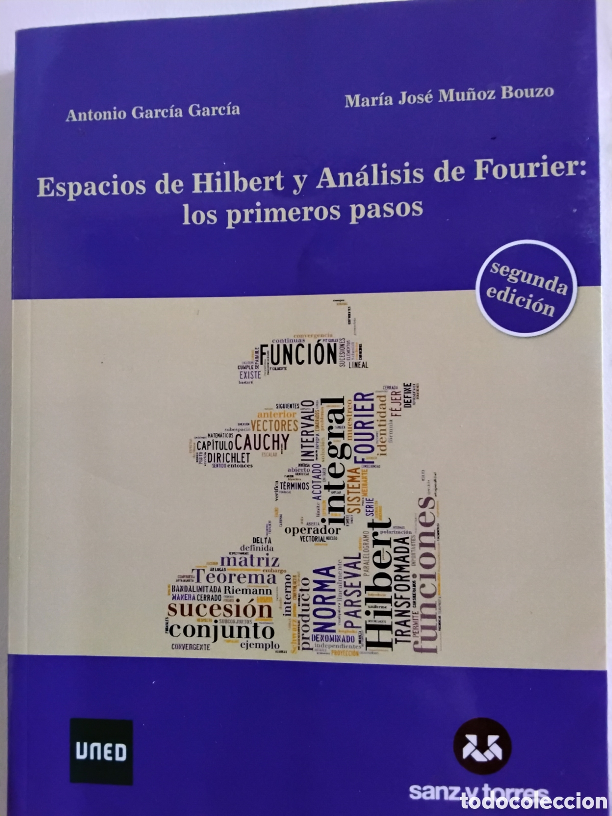 Libros de segunda mano de ciencias: ESPACIOS DE HILBERT Y AN&Aacute;LISIS DE FOURIER: LOS PRIMEROS PASOS. A. GARC&Iacute;A- M. J. MU&Ntilde;OZ BOUZO