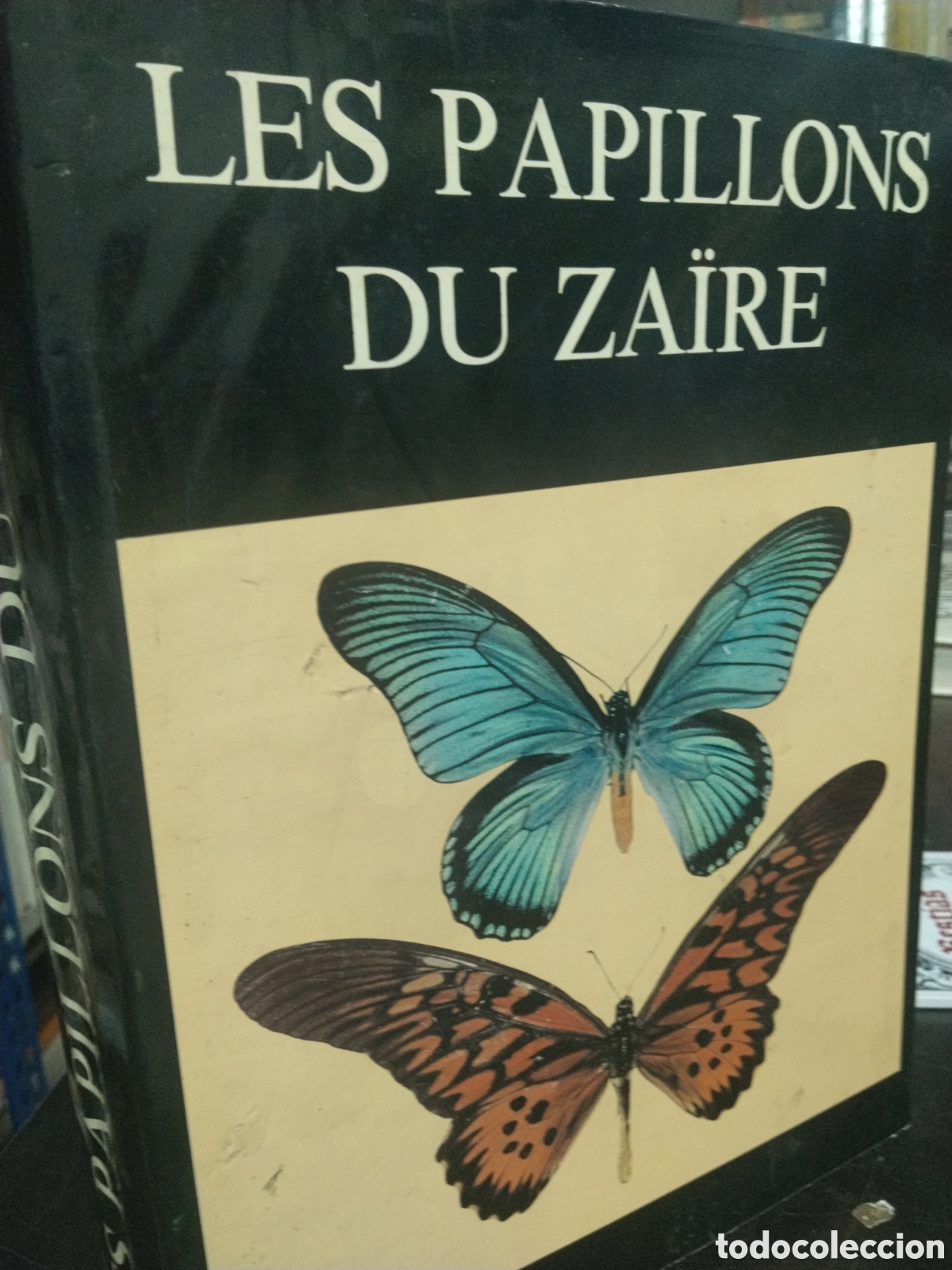 Gebrauchte B&uuml;cher: Lucien A. Berger. Les papillons du Za&iuml;re
