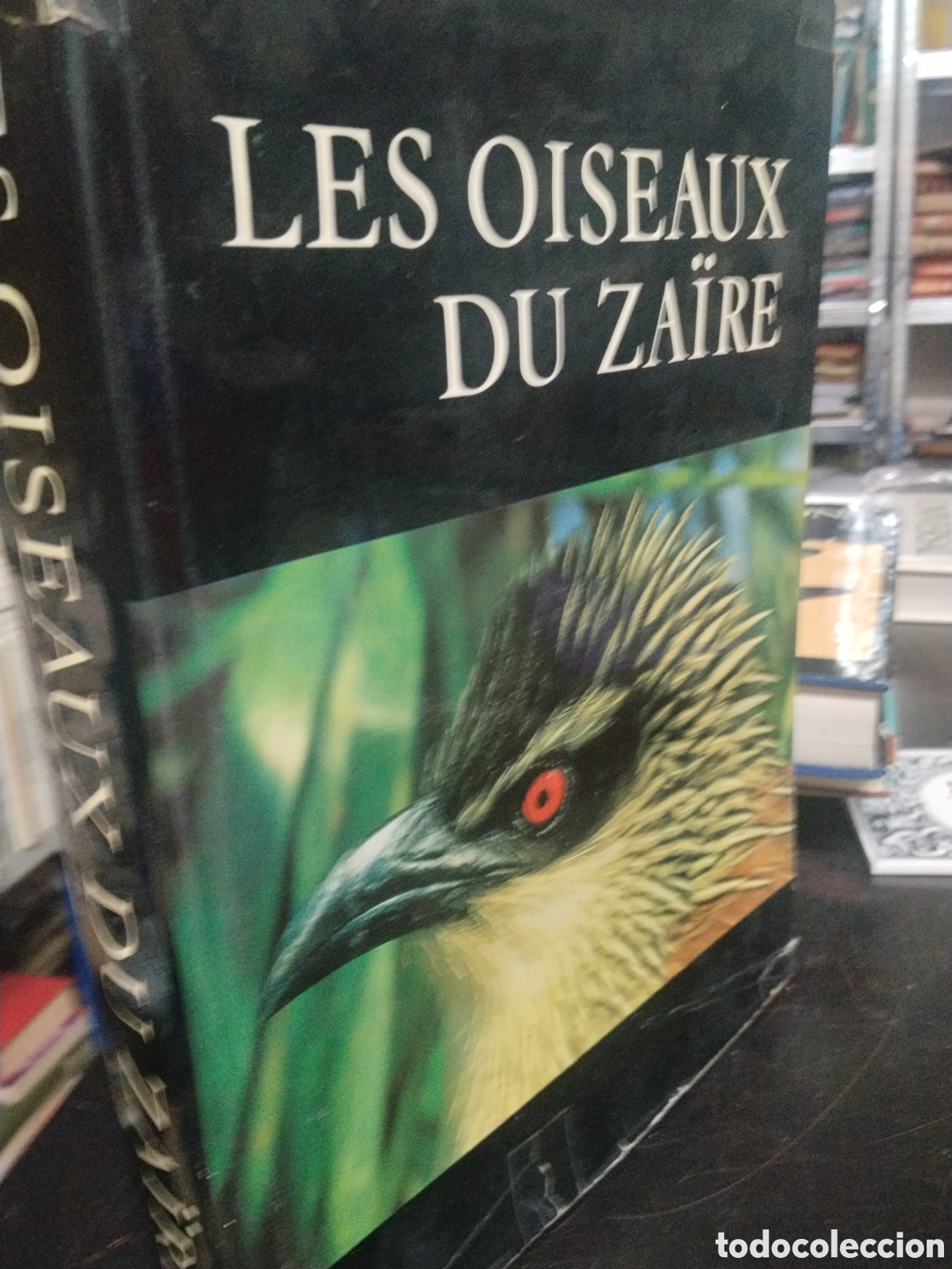 Libros de segunda mano: Le&oacute;n Lippens/ Henri Wille. Les Oiseaux su Za&iuml;re - Foto 2
