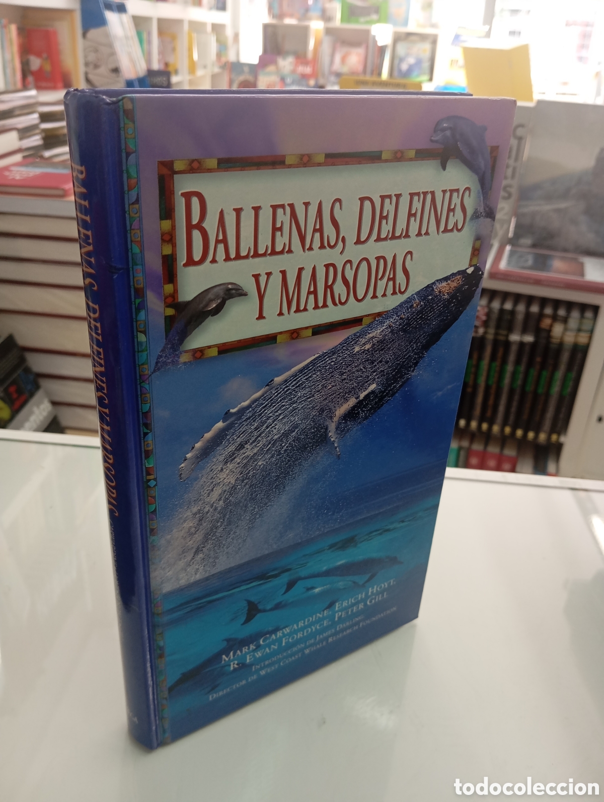 Libros de segunda mano: BALLENAS, DELFINES Y MARSOPAS GUIA IDENTIFICACION MARK CARWARDINE, ERICH HOYT. EDICIONES OMEGA 1999