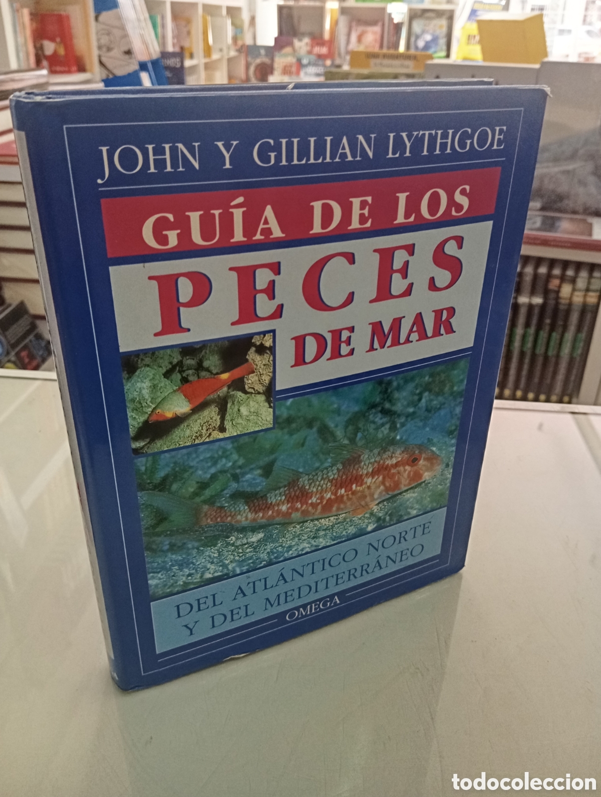 Libros de segunda mano: GUIA DE LOS PECES DE MAR DEL ATLANTICO NORTE Y EL MEDITERRANEO EDICIONES OMEGA 1994