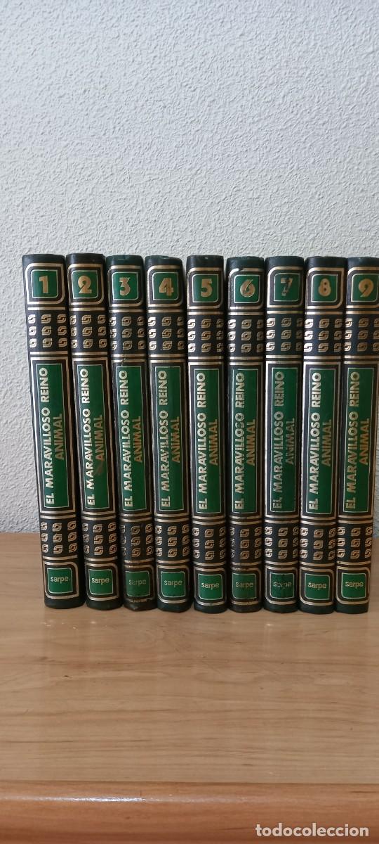 Libros de segunda mano: Colecci&oacute;n de libros El maravilloso Mundo Animal