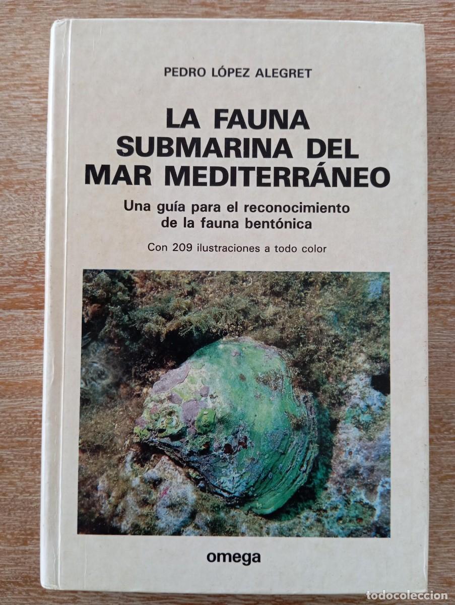 Libros de segunda mano: LA FAUNA SUBMARINA DEL MAR MEDITERRANEO - PEDRO LOPEZ ALEGRET