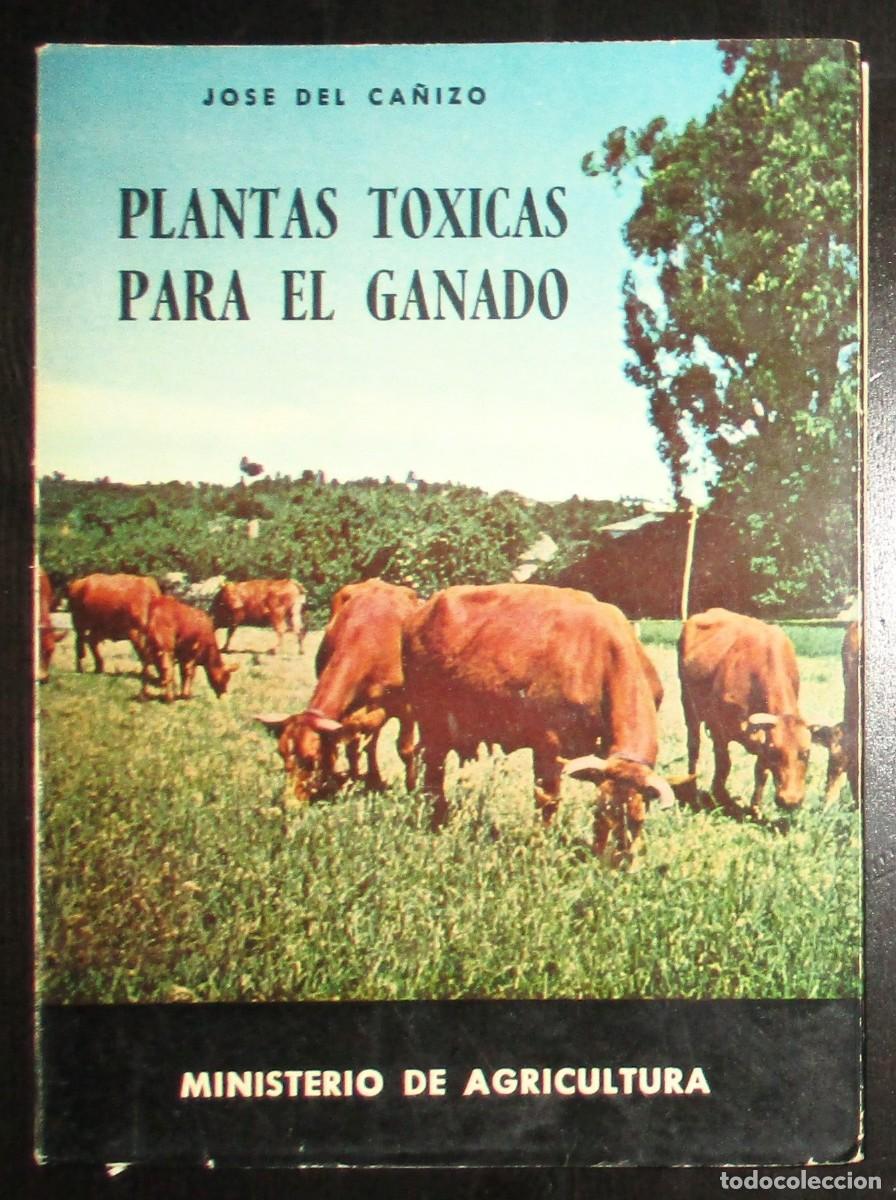 Libros de segunda mano: PLANTAS T&Oacute;XICAS PARA EL GANADO. JOS&Eacute; DEL CA&Ntilde;IZO. CON 65 ILUSTRACIONES. MADRID, 1964.