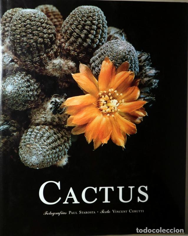 Libros de segunda mano: STAROSTA, Paul - CERUTTI, Vincent - CACTUS - Barcelona 1998 - Ilustrado