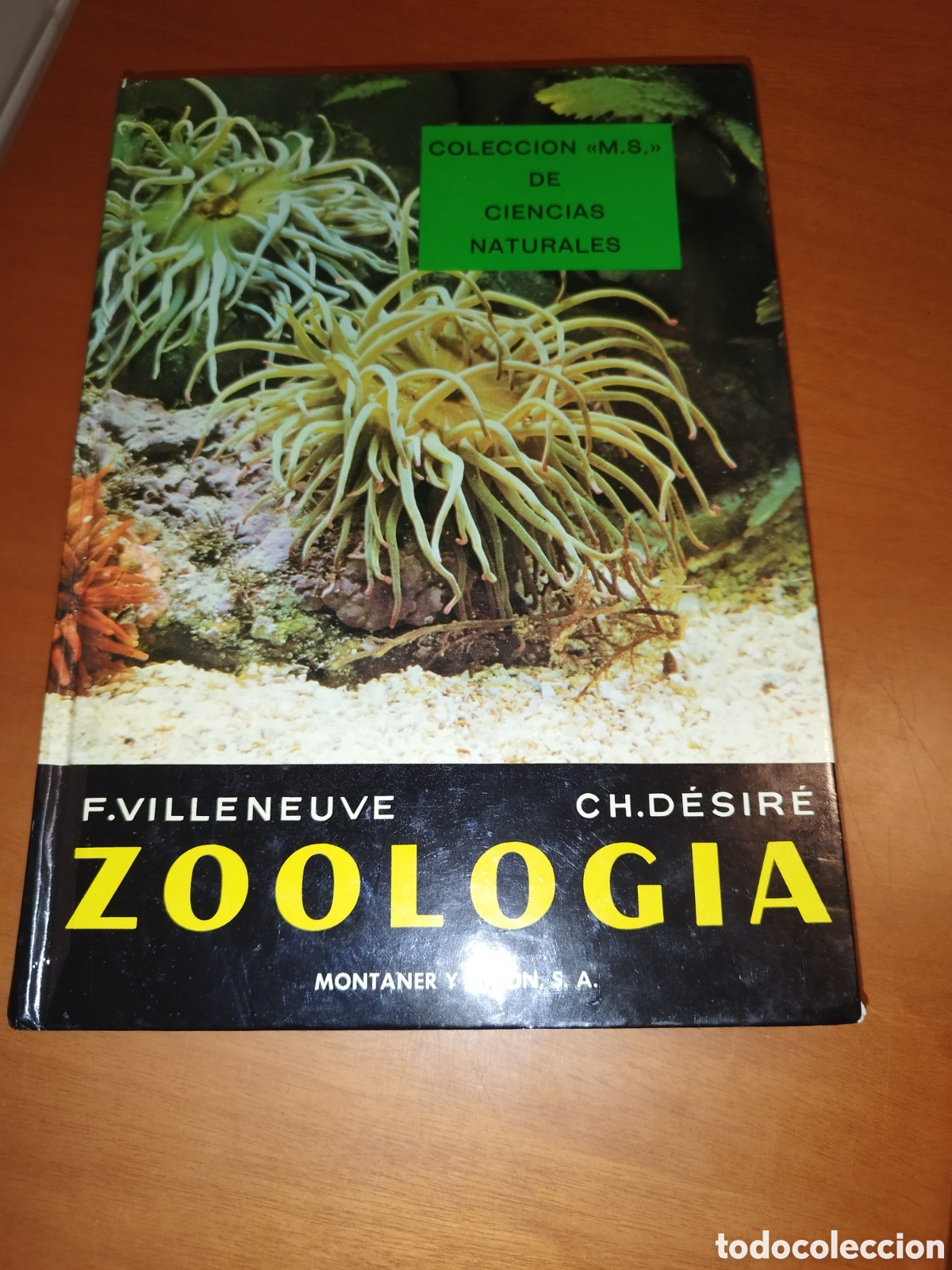 Libros de segunda mano: ZOOLOGIA.- VILLENEUVE / DESIR&Eacute;. ED. MONTANER Y SIMON, 1977. ILUSTRADO.