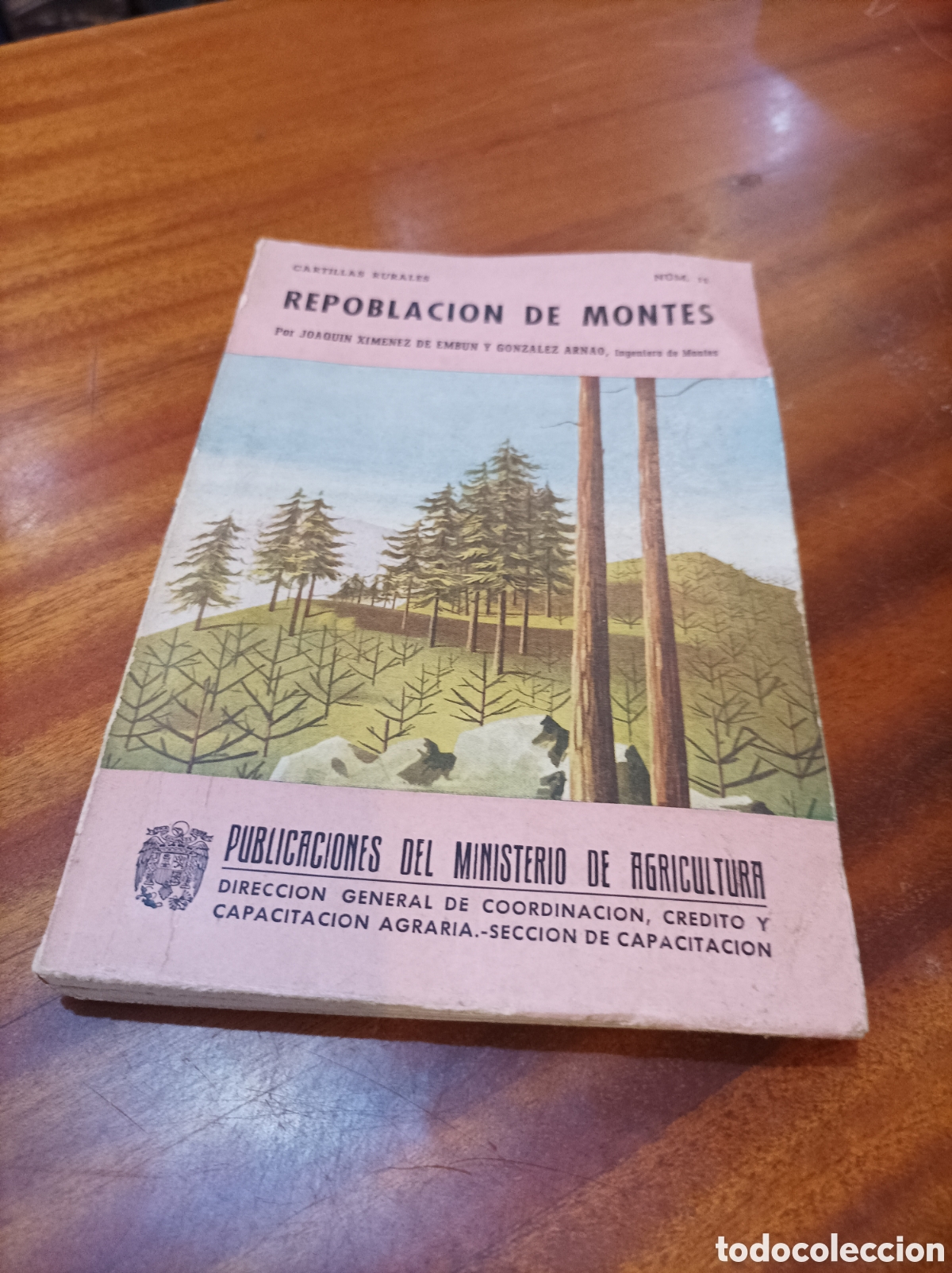 Libros de segunda mano: REPOBLACI&Oacute;N DE MONTES.N 11.MINISTERIO DE AGRICULTURA 2956