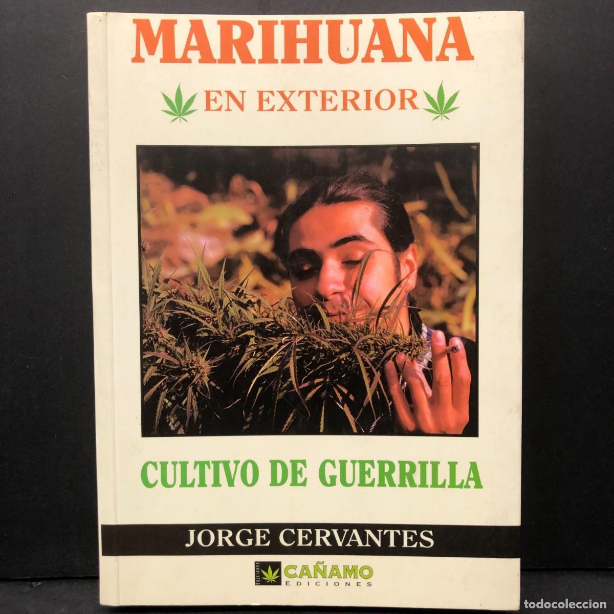 Libros de segunda mano: MARIHUANA EN EXTERIOR - CULTIVO DE GUERRILLA - JORGE CERVANTES - CA&Ntilde;AMO EDICIONES / 1564