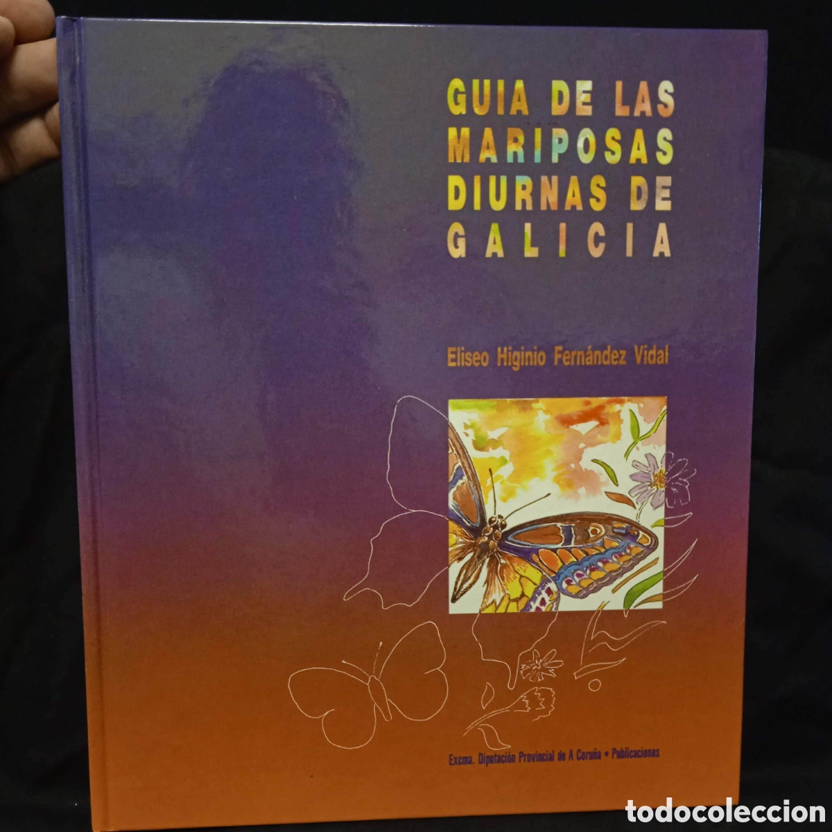 Libros de segunda mano: GUIA DE LAS MARIPOSAS DIURNAS DE GALICIA - ELISEO HIGINIO FERN&Aacute;NDEZ VIDAL - DIPUTACI&Oacute;N CORU&Ntilde;A 1992