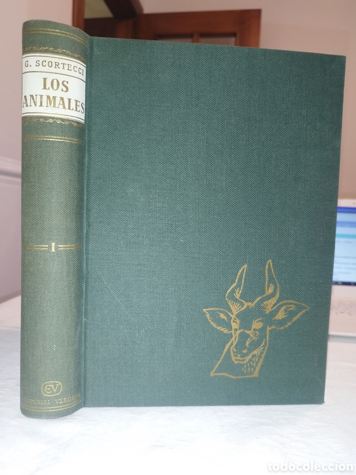 Libros de segunda mano: SCORTECCI: LOS ANIMALES. VOLUMEN I. ED. VERGARA, 1962 MUY ILUSTRADO.