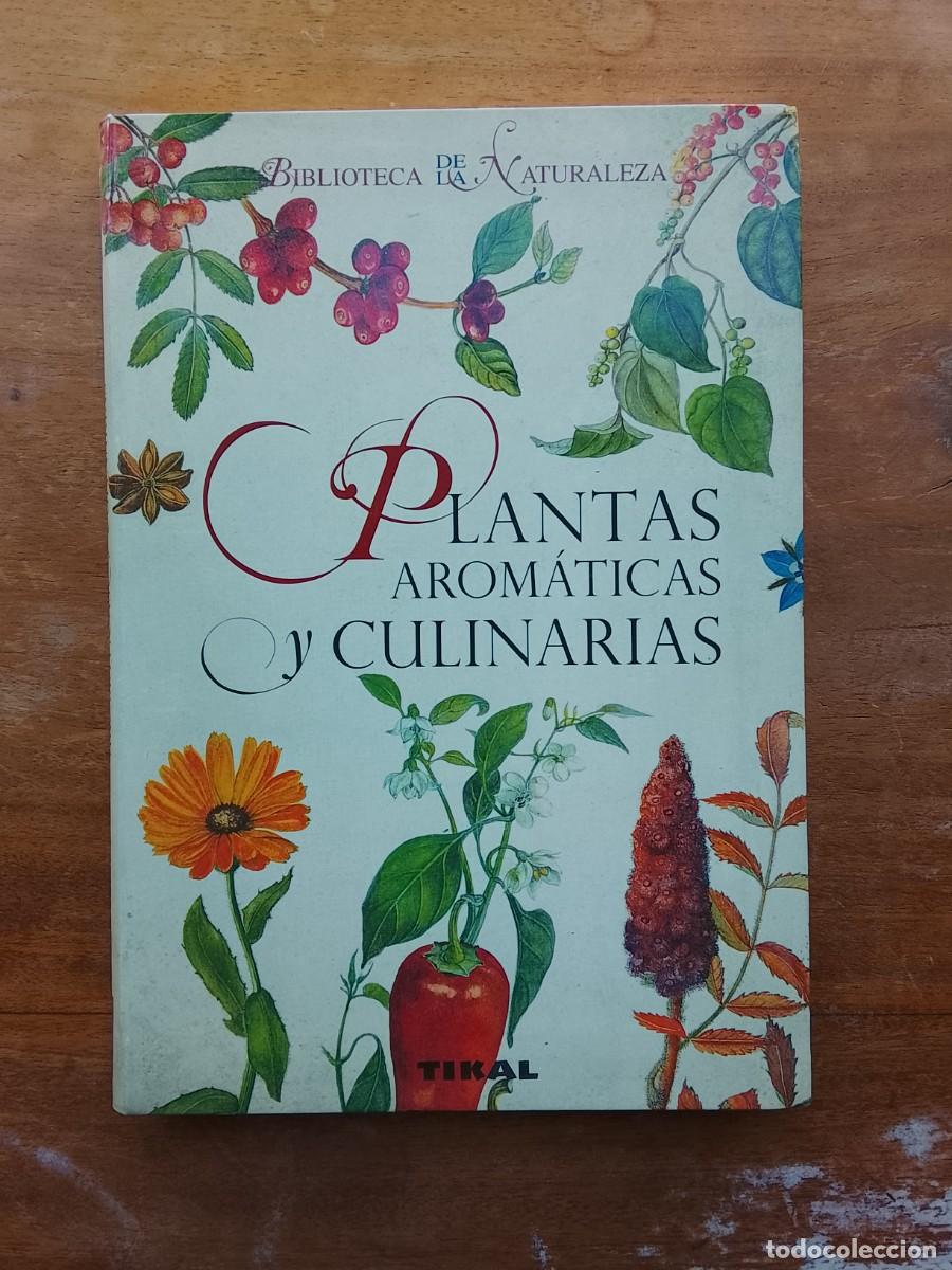 Libros de segunda mano: Plantas arom&aacute;ticas y culinarias - Foto 1