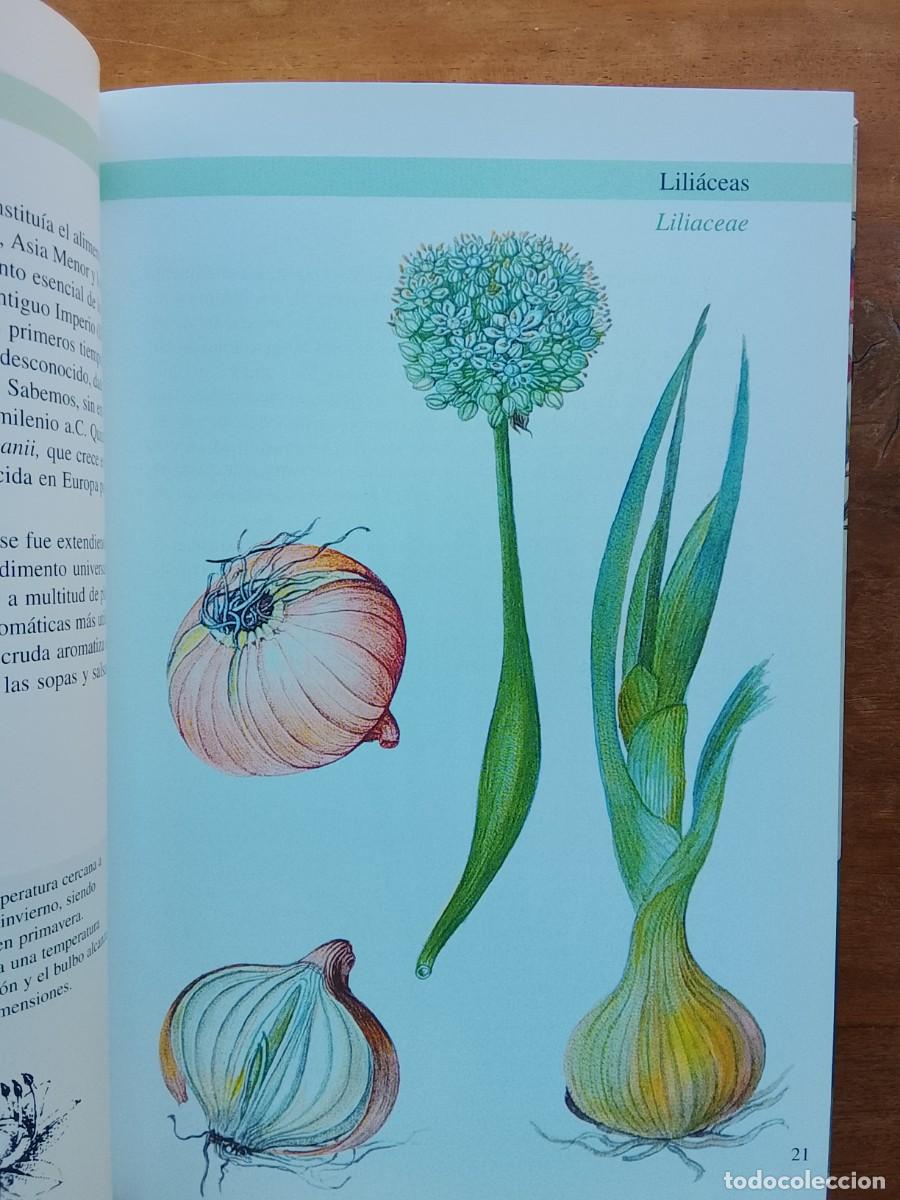 Libros de segunda mano: Plantas arom&aacute;ticas y culinarias - Foto 4