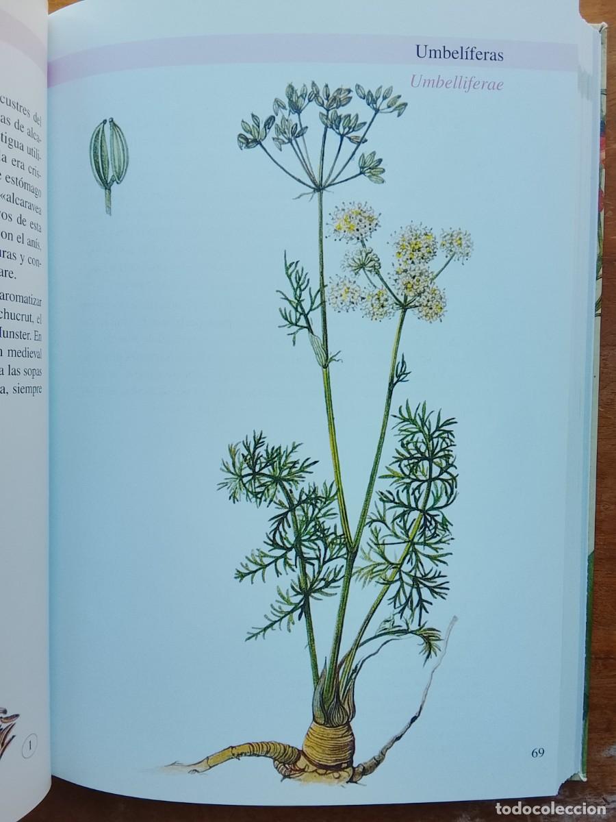 Libros de segunda mano: Plantas arom&aacute;ticas y culinarias - Foto 6
