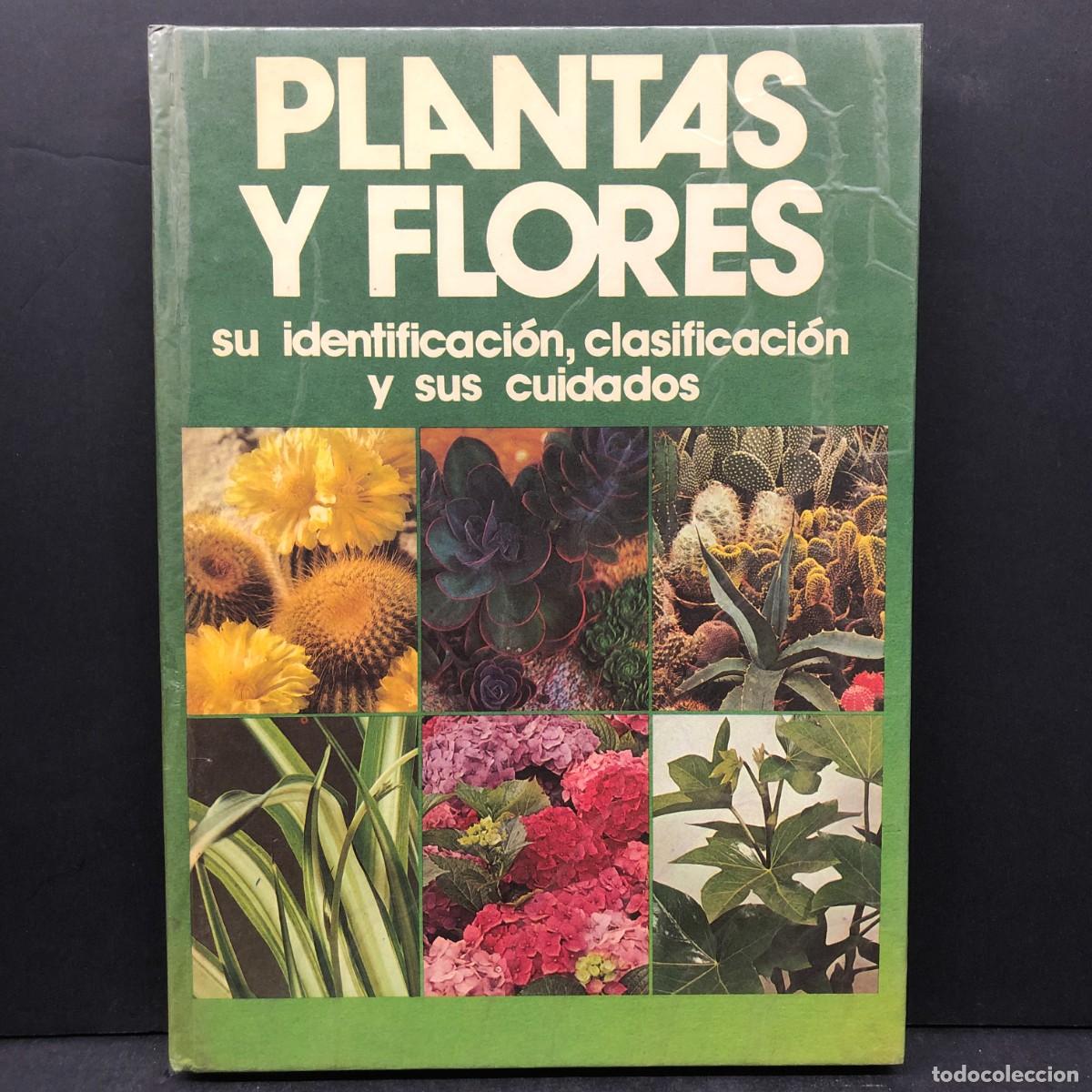 Libros de segunda mano: PLANTAS Y FLORES - SU IDENTIFICACI&Oacute;N, CLASIFICACI&Oacute;N Y SUS CUIDADOS / 1760