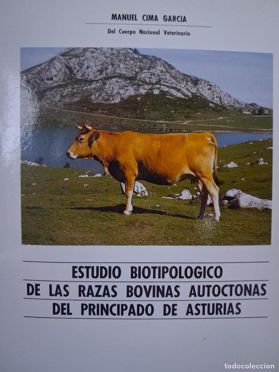 Libros de segunda mano: CIMA GARC&Iacute;A, MANUEL Estudio biotipol&oacute;gico de las razas bovinas autoctonas del Principado de Asturias