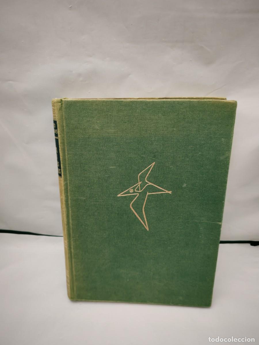 Gebrauchte B&uuml;cher: Tras la pista de los animales desconocidos, Tomo II (Primera edici&oacute;n, tapa dura sin sobrecubierta)