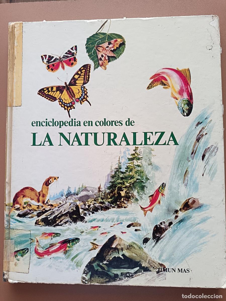 Libros de segunda mano: LA NATURALEZA- A&Ntilde;O-1976