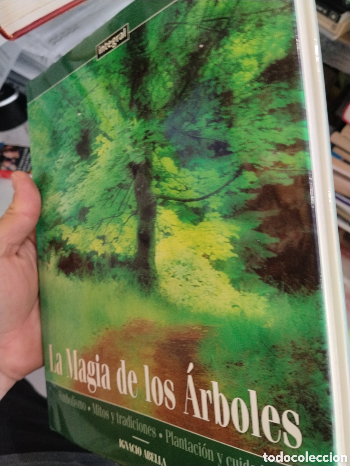 Gebrauchte B&uuml;cher: Ignacio Abella. La magia de los &aacute;rboles &ntilde;. Simbolismo. Mitos y tradiciones. Plantaci&oacute;n y cuidados