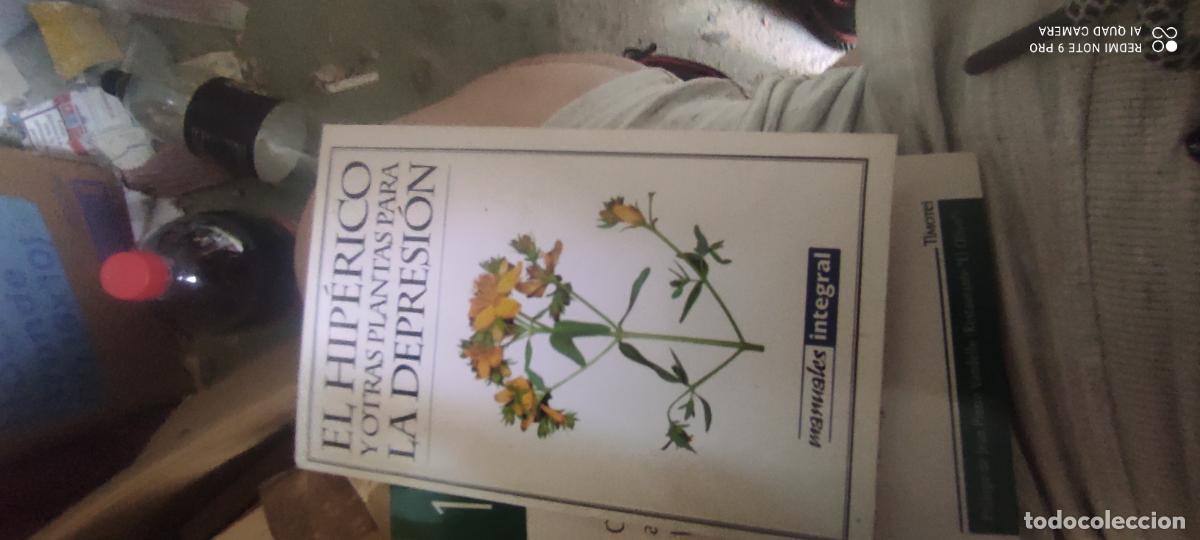 Libros de segunda mano: El Hiperico Y Otras Plantas Para La Depresion Jordi Cebrian
