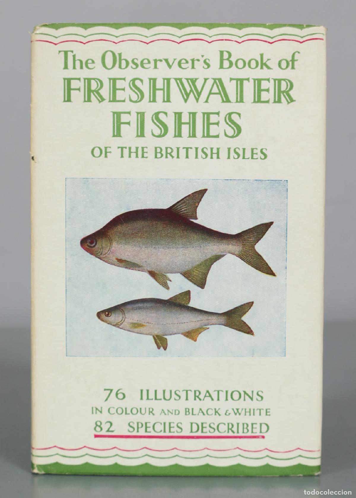 Libros de segunda mano: The Observer's Book of Freshwater Fishes of the British Isles - F. Travis Jenkins - Frederick Warne