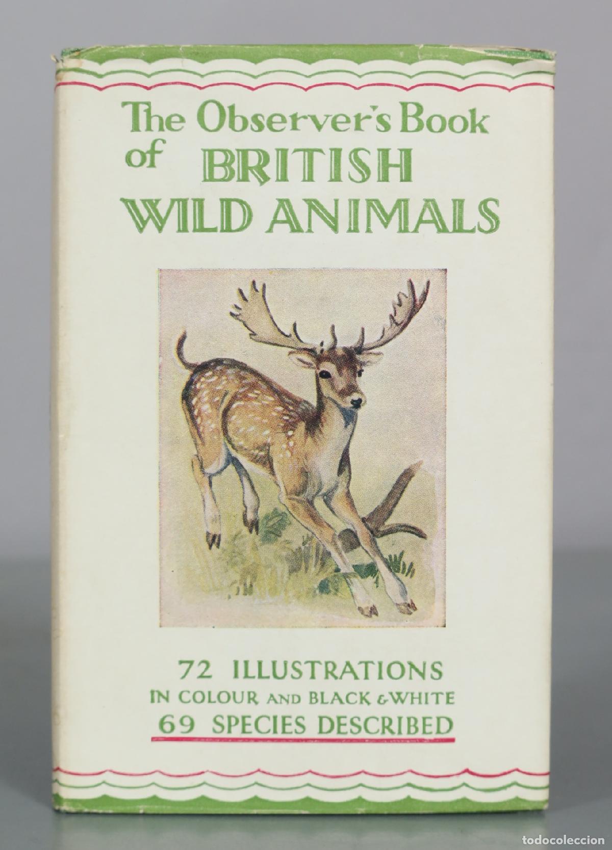 Libros de segunda mano: The Observer's Book of British Wild Animals - Frederick Warne & Co