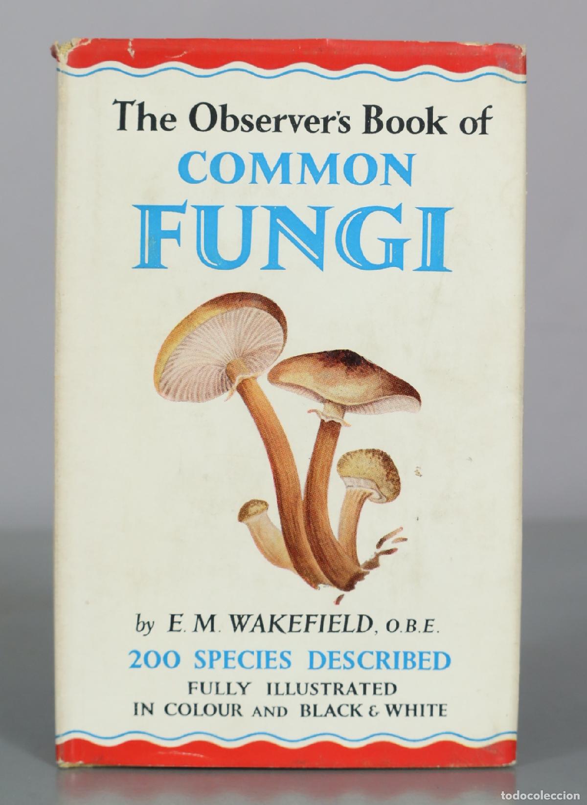 Libros de segunda mano: The Observer's Book of Common Fungi - E. M. Wakefield - Frederick Warne & Co.