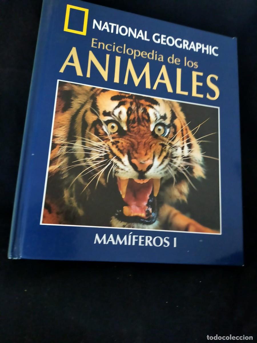 Libros de segunda mano: ENCICLOPEDIA DE LOS ANIMALES. NATIONAL GEOGRAPHIC. MAM&Iacute;FEROS I. TOMO + DVD.