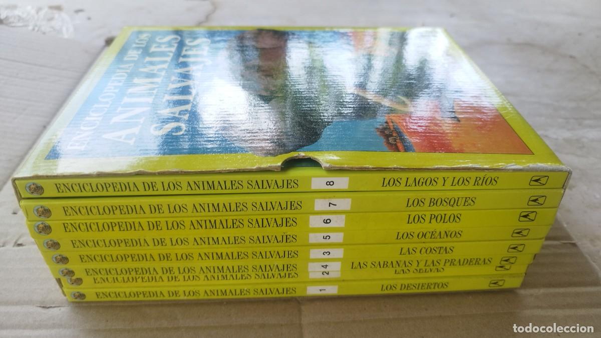 Libros de segunda mano: ENCICLOPEDIA DE LOS ANIMALES SALVAJES - 8 TOMOS - EVEREST EN SU ESTUCHE, VER FOTOS