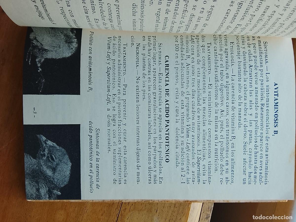 Libros de segunda mano: Enfermedades de las aves LAFI Barcelona - Foto 3