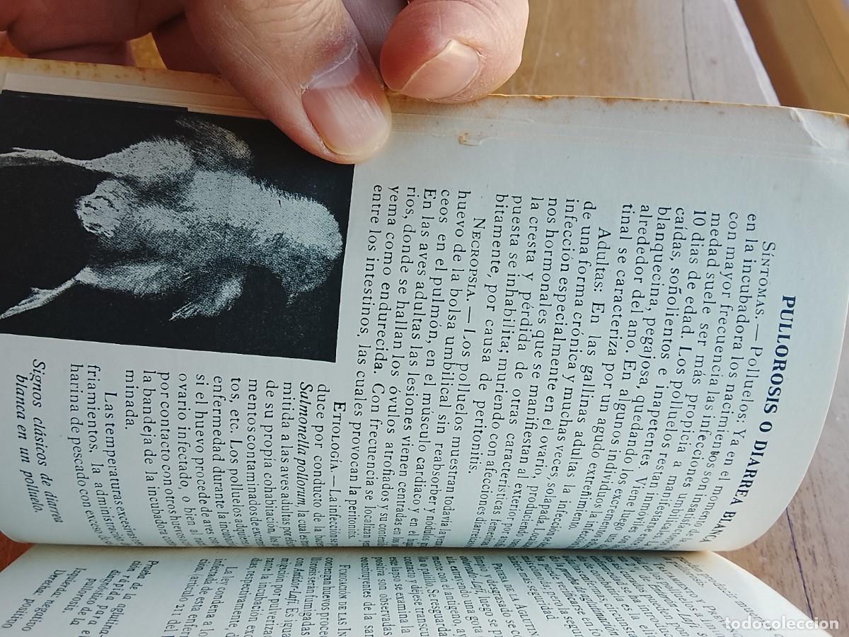 Libros de segunda mano: Enfermedades de las aves LAFI Barcelona - Foto 4