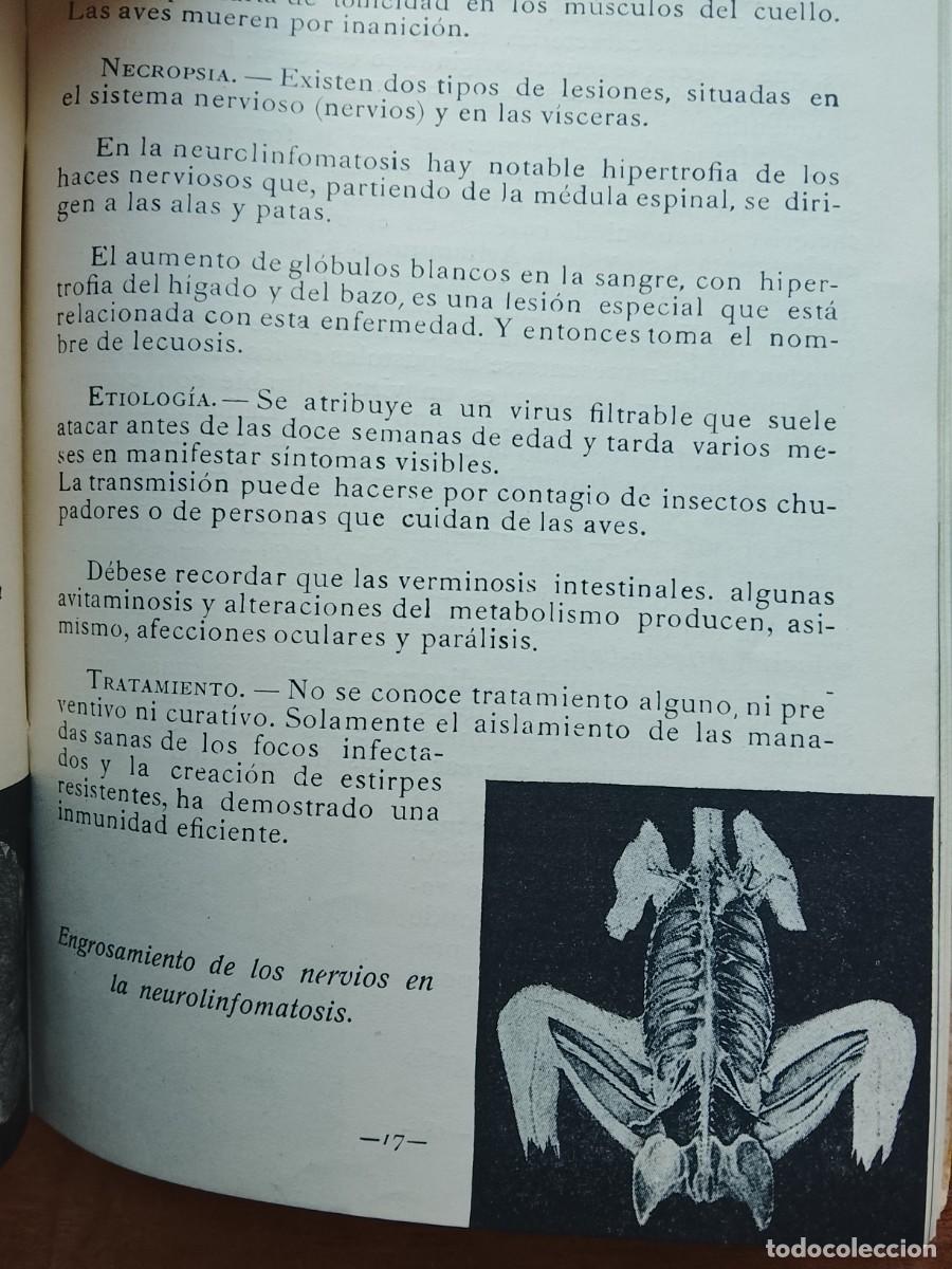 Libros de segunda mano: Enfermedades de las aves LAFI Barcelona - Foto 5