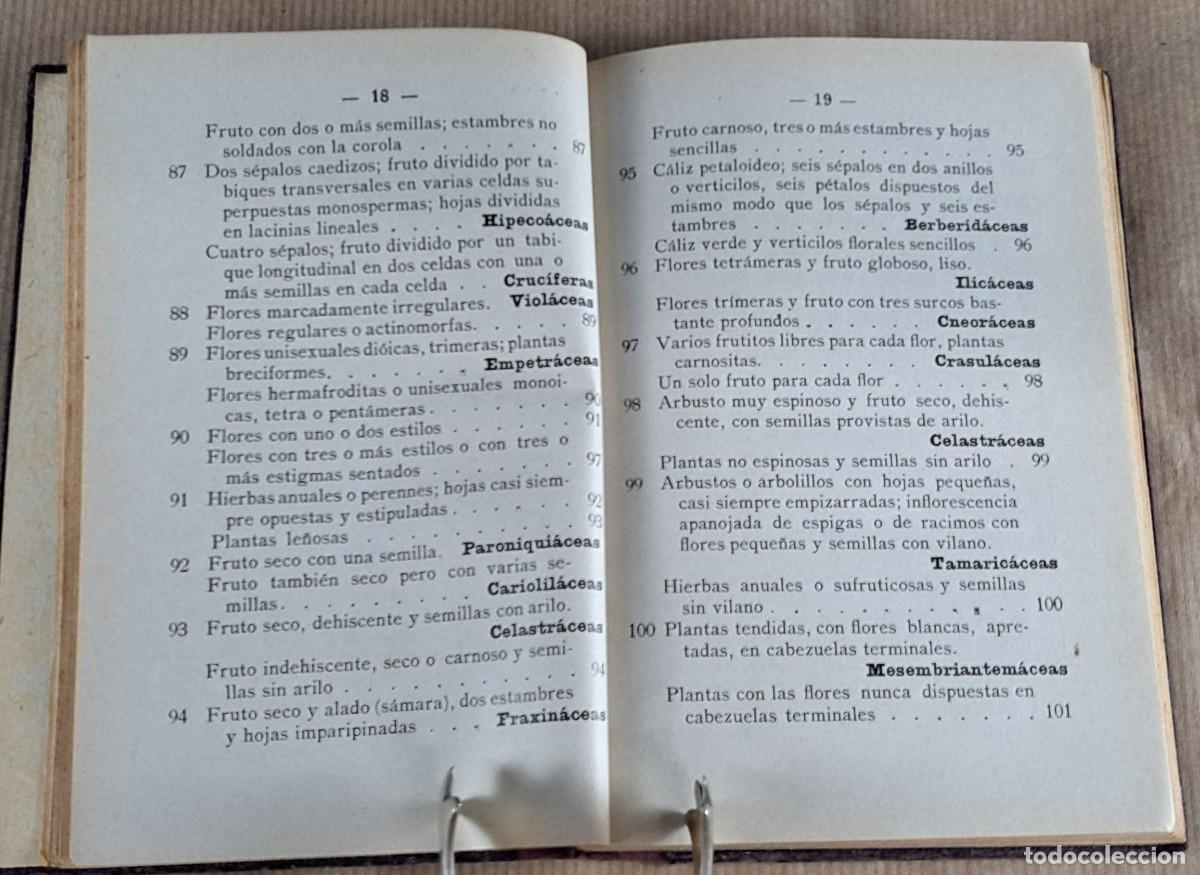 Libros de segunda mano: Elementos de Sistem&aacute;tica Vegetal &middot; A. Caballero &middot; Librer&iacute;a Bosch &middot; ca. 1940 - Foto 3
