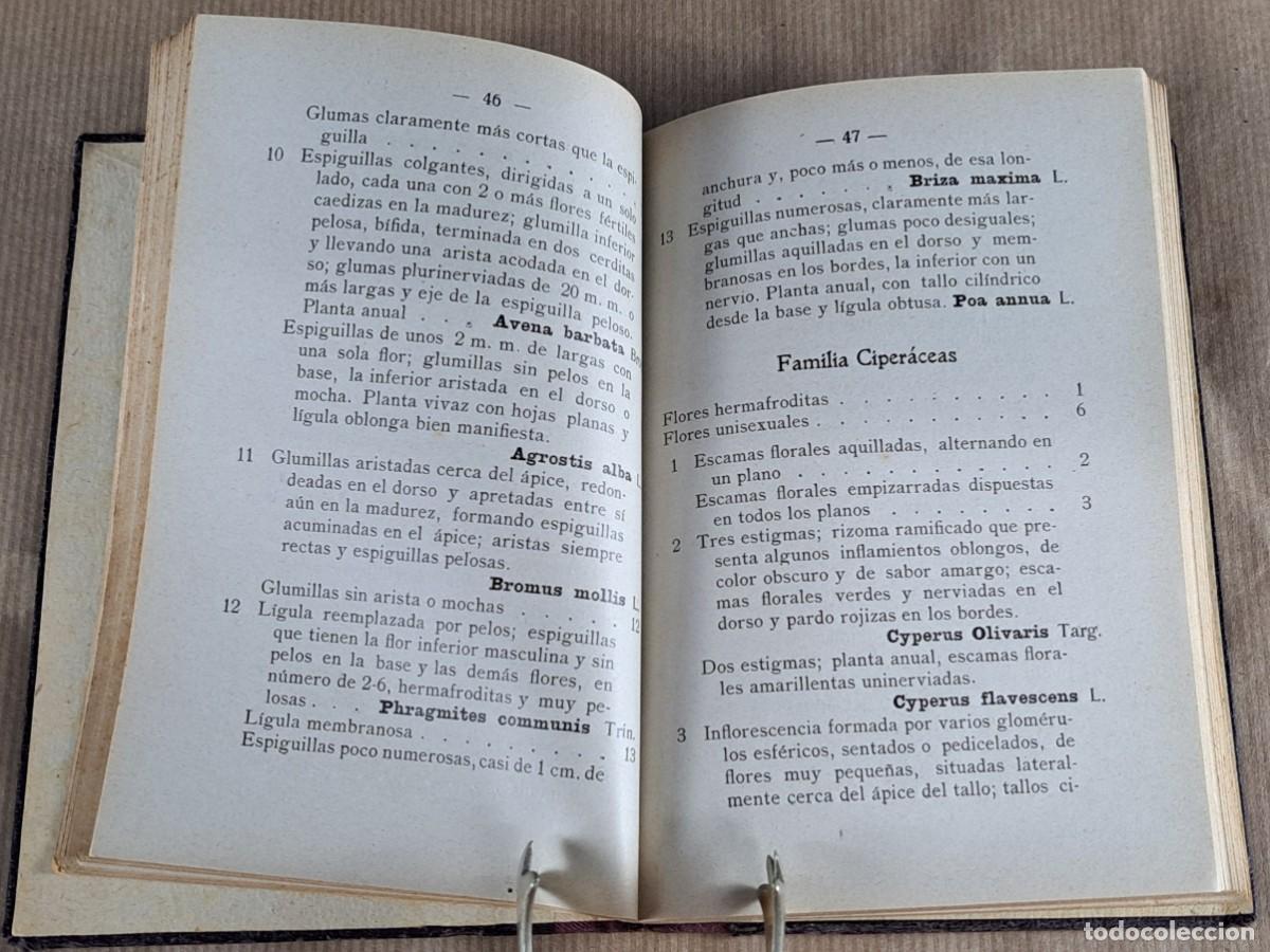 Libros de segunda mano: Elementos de Sistem&aacute;tica Vegetal &middot; A. Caballero &middot; Librer&iacute;a Bosch &middot; ca. 1940 - Foto 4