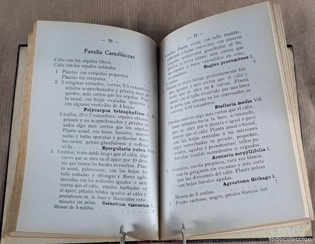Libros de segunda mano: Elementos de Sistem&aacute;tica Vegetal &middot; A. Caballero &middot; Librer&iacute;a Bosch &middot; ca. 1940 - Foto 5