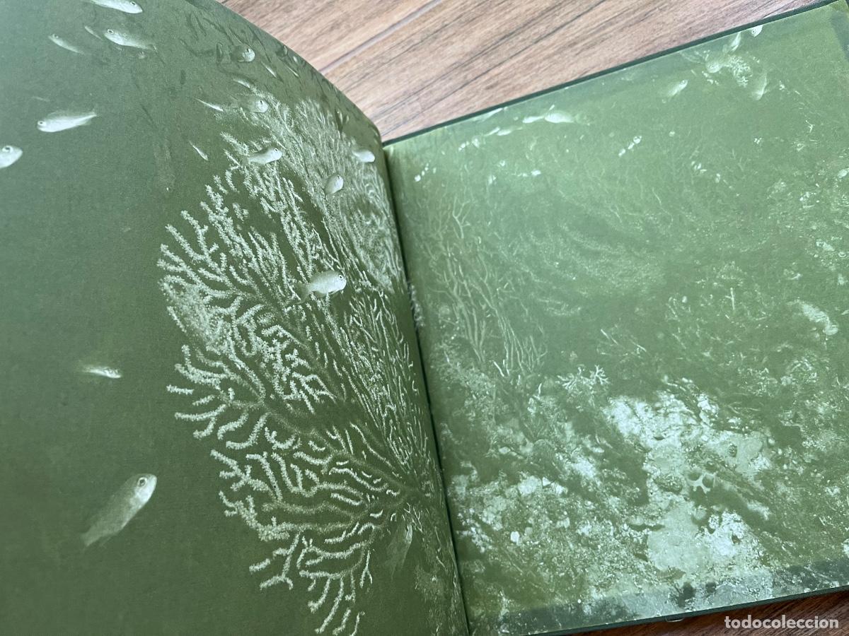 Libros de segunda mano: PARQUE NACIONAL DEL ARCHIPI&Eacute;LAGO DE CABRERA.FOTOGRAF&Iacute;A BIEL SERVERA - Foto 6