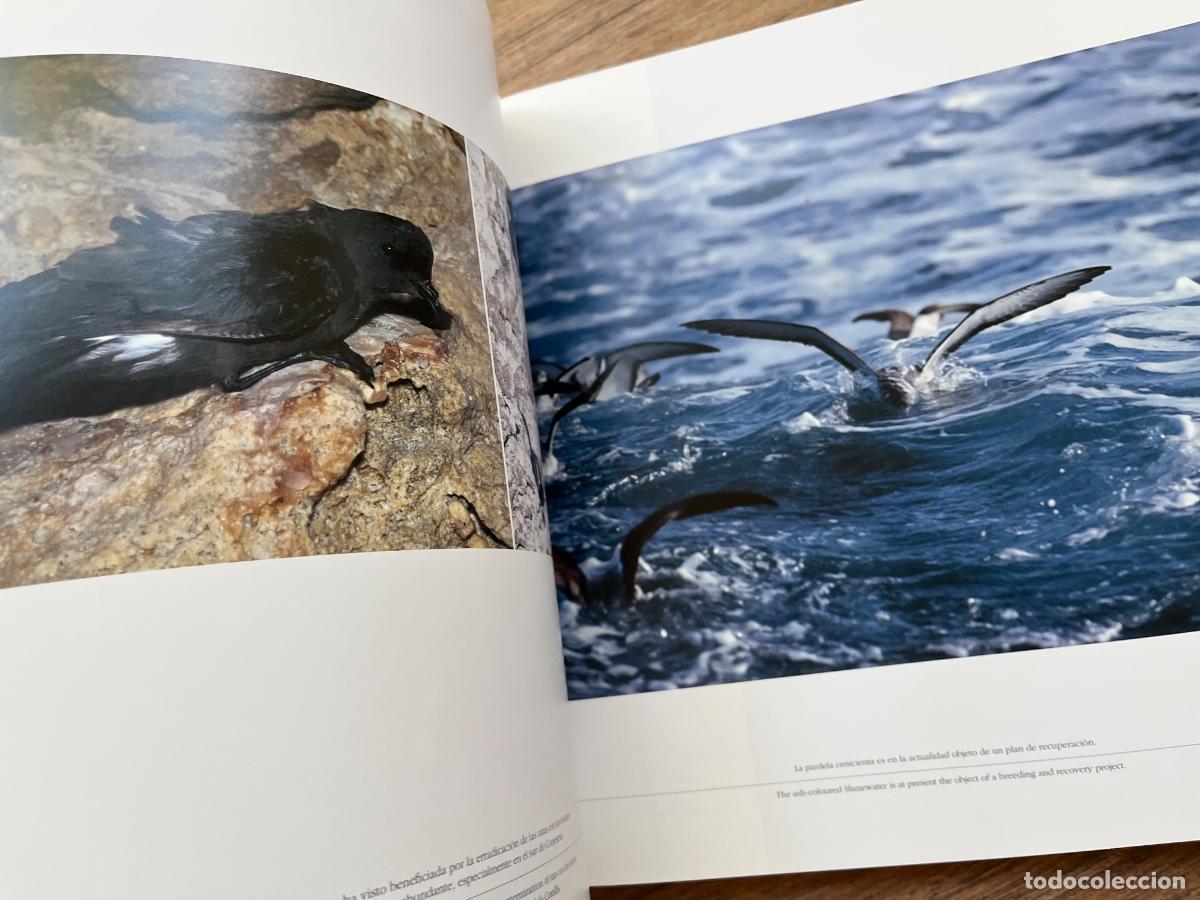 Libros de segunda mano: PARQUE NACIONAL DEL ARCHIPI&Eacute;LAGO DE CABRERA.FOTOGRAF&Iacute;A BIEL SERVERA - Foto 8