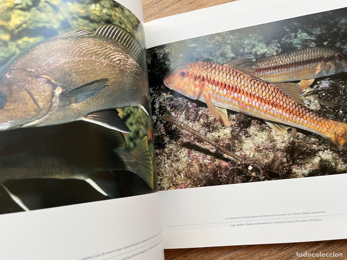Libros de segunda mano: PARQUE NACIONAL DEL ARCHIPI&Eacute;LAGO DE CABRERA.FOTOGRAF&Iacute;A BIEL SERVERA - Foto 9