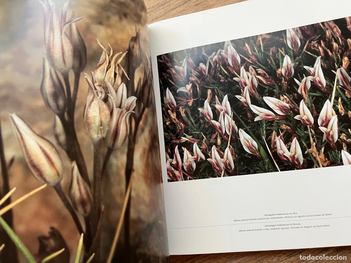 Libros de segunda mano: PARQUE NACIONAL DEL ARCHIPI&Eacute;LAGO DE CABRERA.FOTOGRAF&Iacute;A BIEL SERVERA - Foto 13
