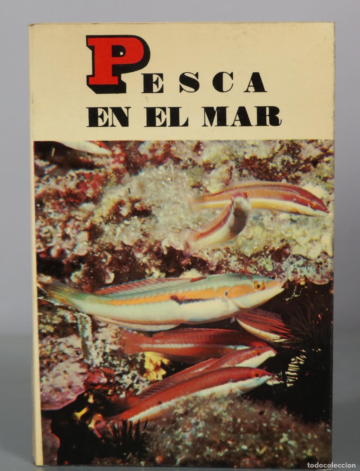 Libros de segunda mano: Pesca en el mar - Ediciones Daimon