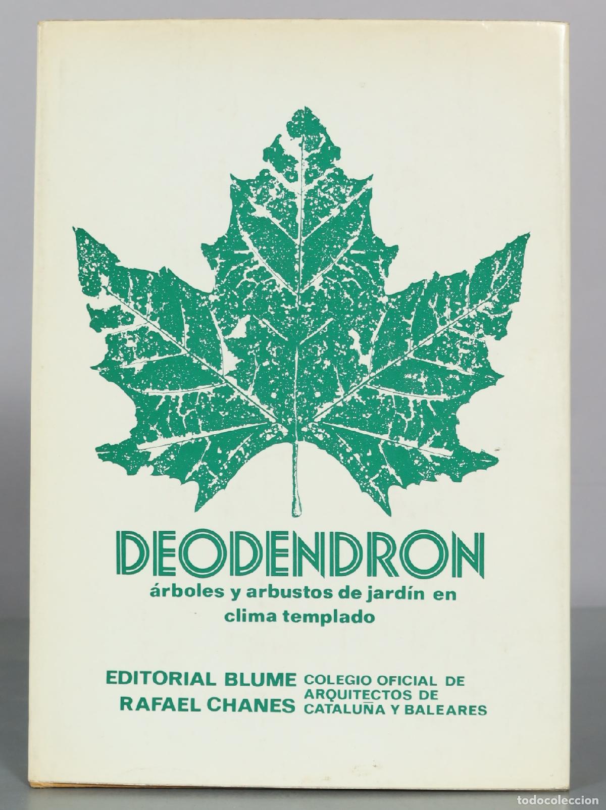 Libros de segunda mano: DEODENDRON - &aacute;rboles y arbustos de jard&iacute;n en clima templado - Rafael Chanes - Editorial Blume