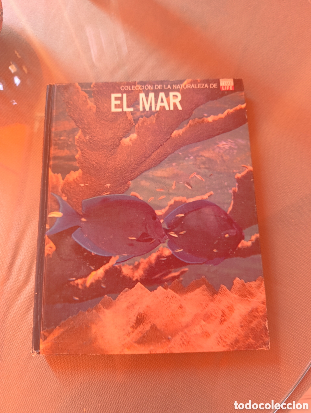 Libri di seconda mano: COLECCI&Oacute;N DE LA NATURALEZA - LIBROS TIME LIFE EL MAR a&ntilde;o 1989