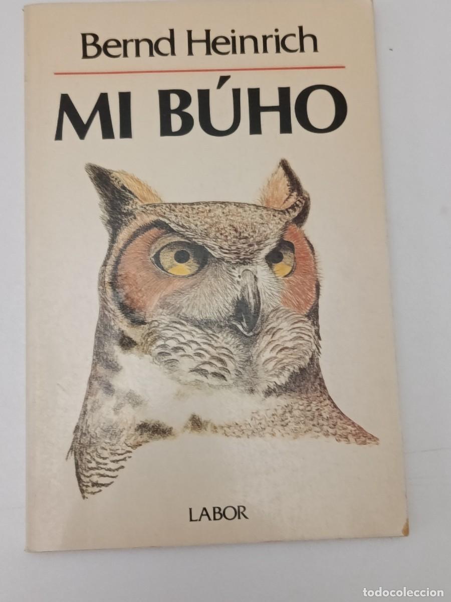 Livros em segunda m&atilde;o: LIBRO MI BUHO LABOR VER FOTO